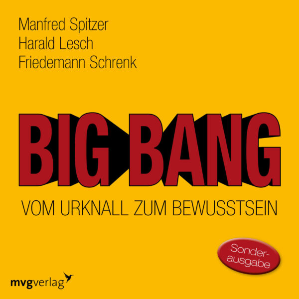 Cover Big Bang: Vom Urknall zum Bewusstsein Hörbuch